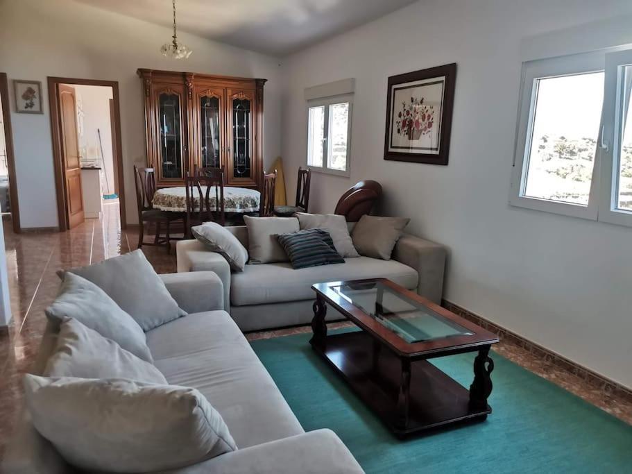 Ferienwohnung Brisa Del Mar La Guancha Εξωτερικό φωτογραφία